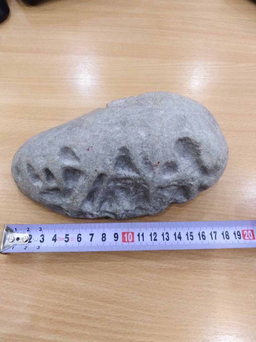 Фото прислали лично мне.