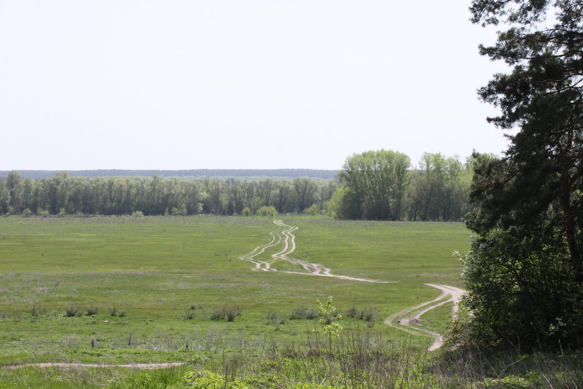 Фото автора. Дорога на рыбалку.