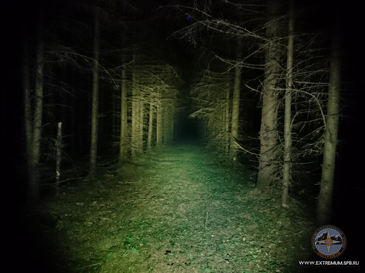 2018 год, где-то в Ленинградской области