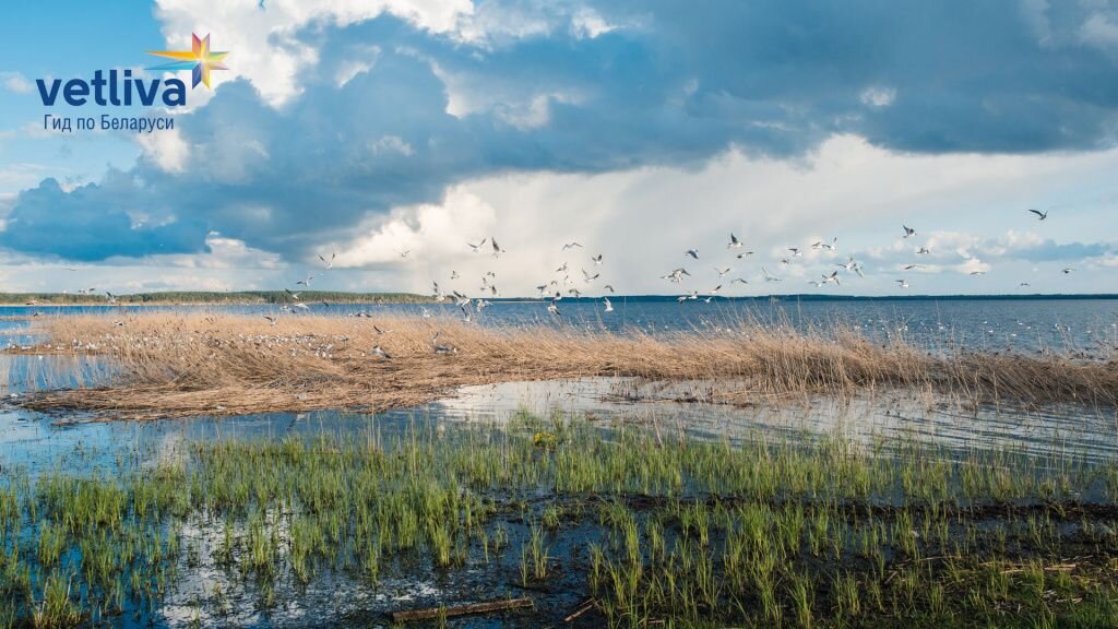 Браславские озера