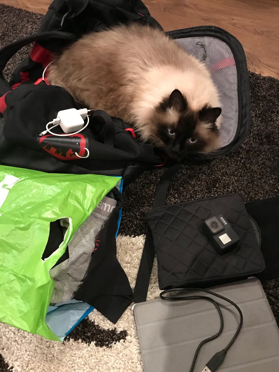 Мой главный помощник по сборам. 