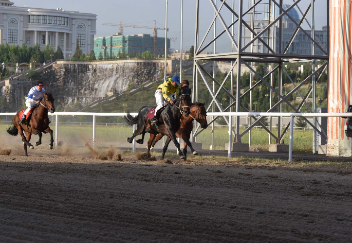 Фото: Амир Исаев, архивное фото