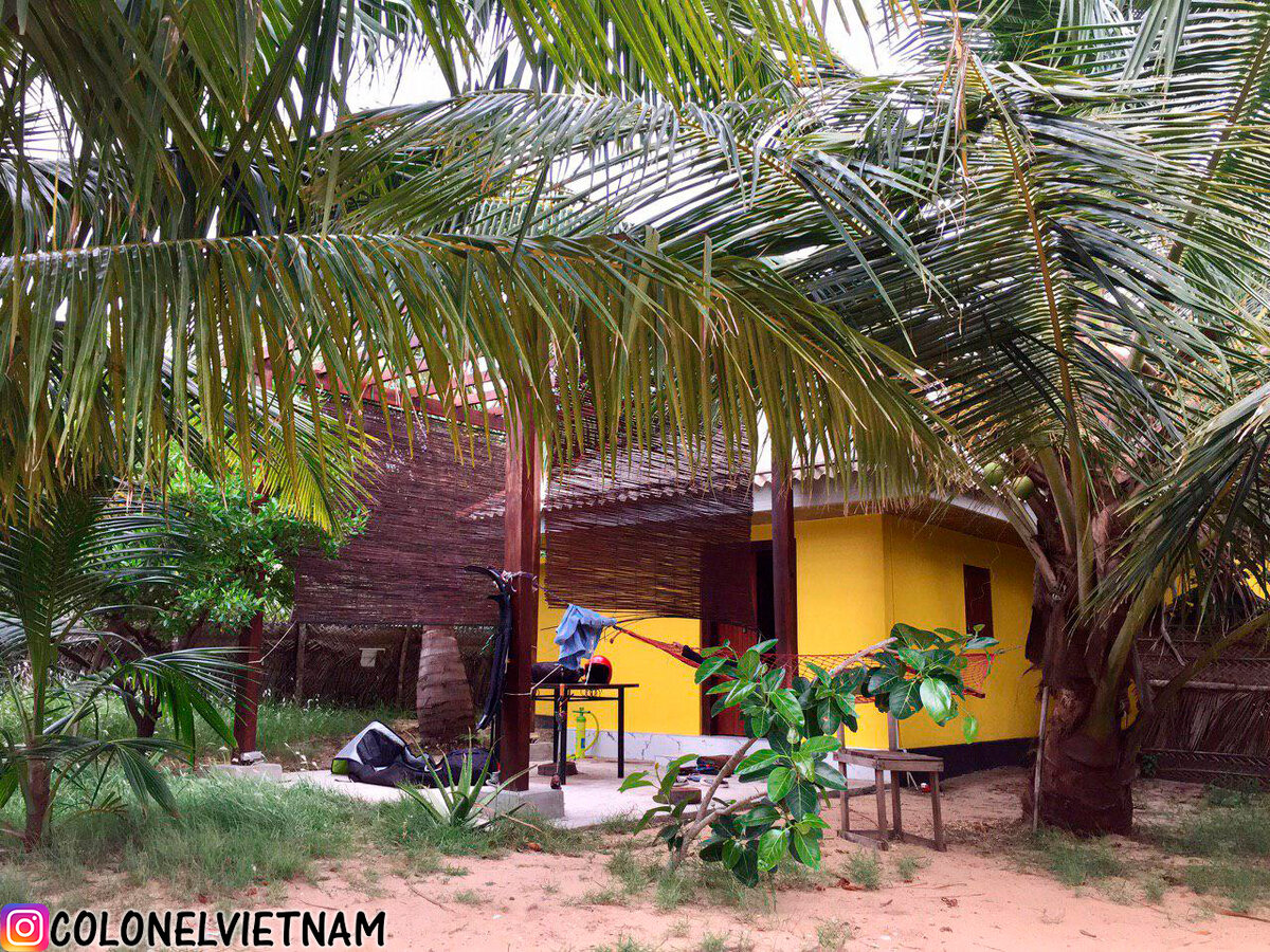 Вид на мой дом на Шри-Ланке из джунглей двора