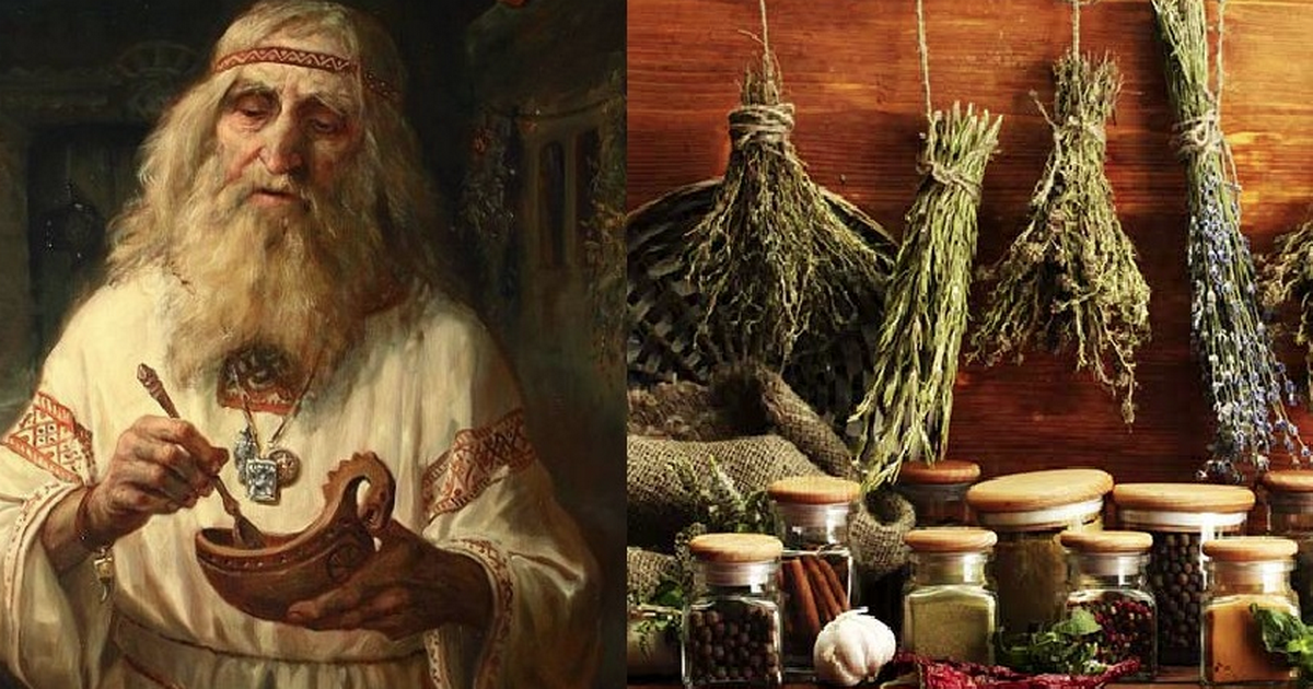 фото с https://choiz.me