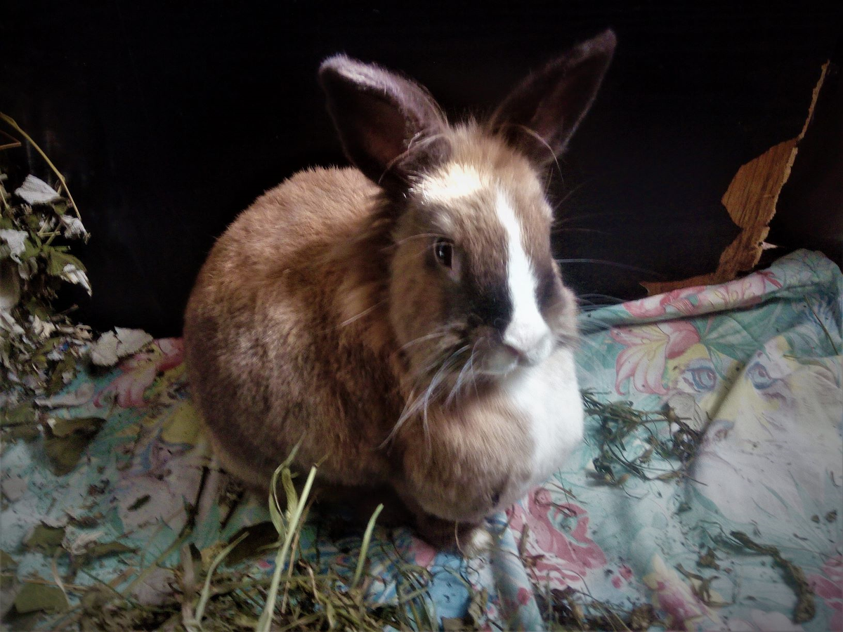 Наша Принцесса Нулёнок.