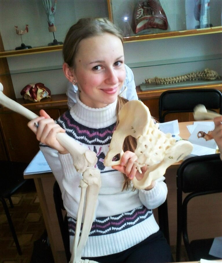 1-й курс. За изучением анатомии