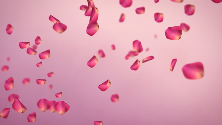 фото: Яндекс.Картинки