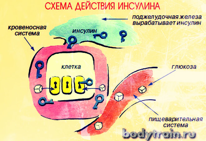 Здоровый Хабаровск