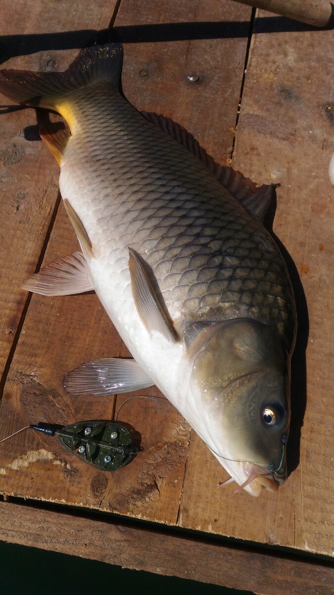 Уверенная двушка.