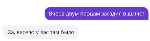 Алиса что дает человеку. Алиса давай поиграем. Алиса давай играть. Алиса давай поиграем в слова. Алиса давай сыграем в загадки.