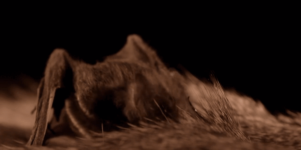 вкусно пыздц.. 2-ая отрицательная, моя любимая