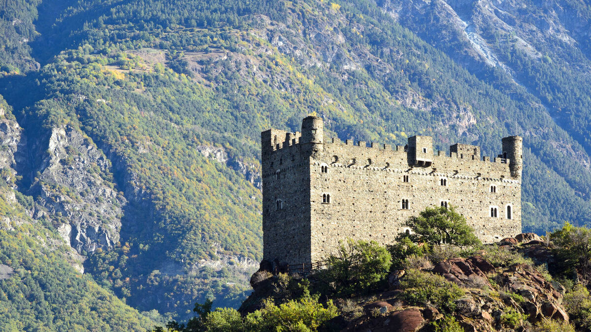 ©  Erick Margarita Images / Shutterstock