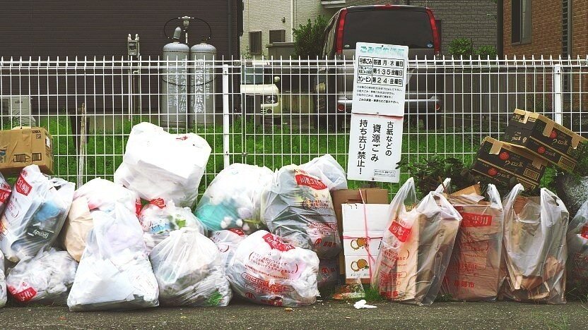 фотосессия с мусором. грег сегал. день отхода. день отхода. день отхода.