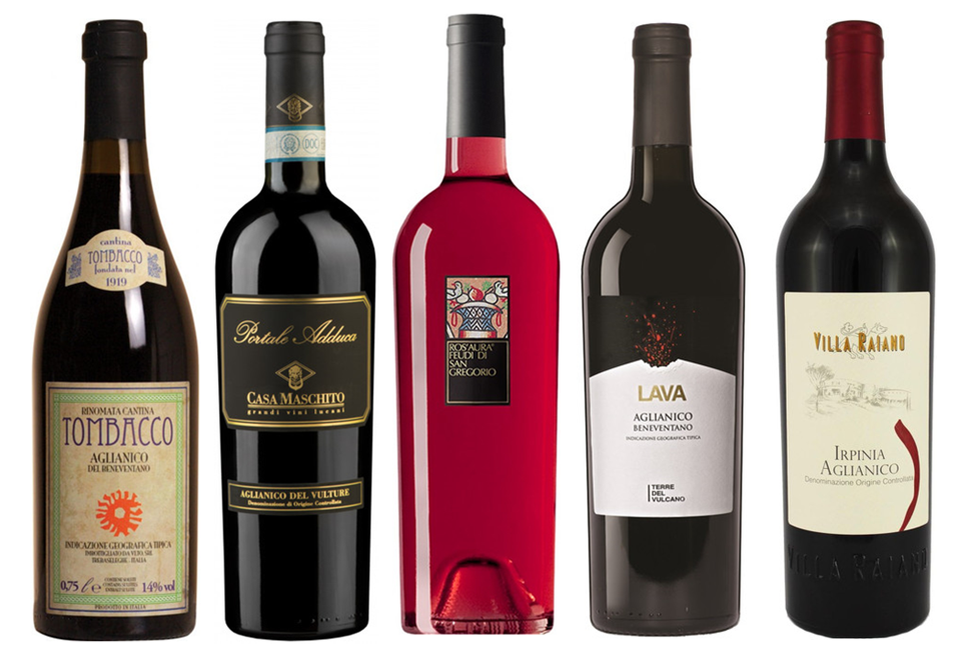 Сухие вина сорта. Самый лучший сорт вина. Белые сорта винограда для вина. Screaming eagle 1992 года. Вино великобритании.