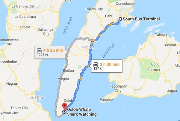 Моалбоал как добраться. Моалбоал карта. Моалбоал как добраться. Моалбоал филиппины на карте. Моалбоал как добраться.