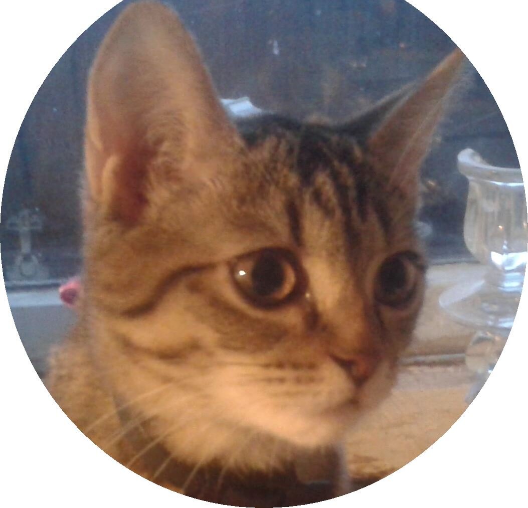 Мамина Кася  