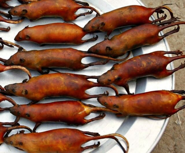 картинка из интернета