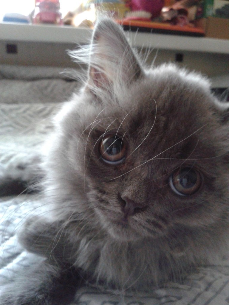 Фото из личного архива