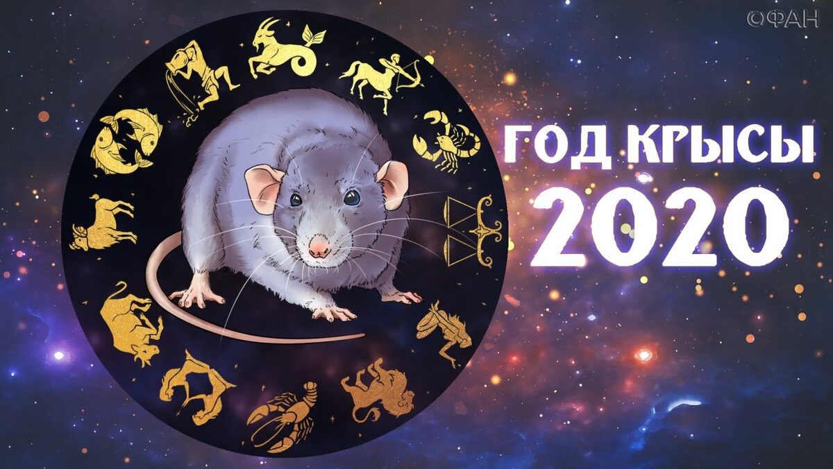 год крысы, металлическая крыса, 2020