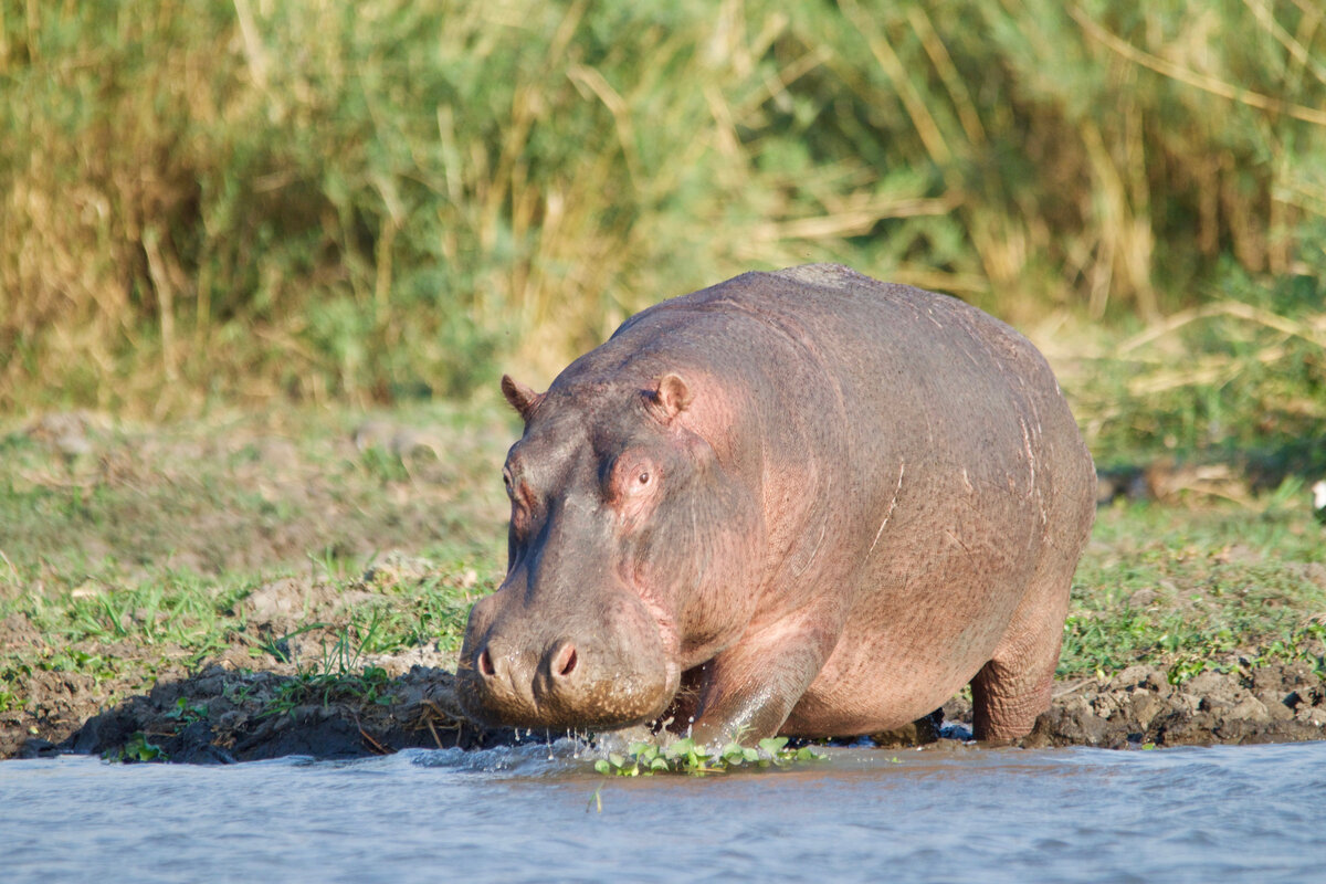 Фото из Яндекс-коллекции.