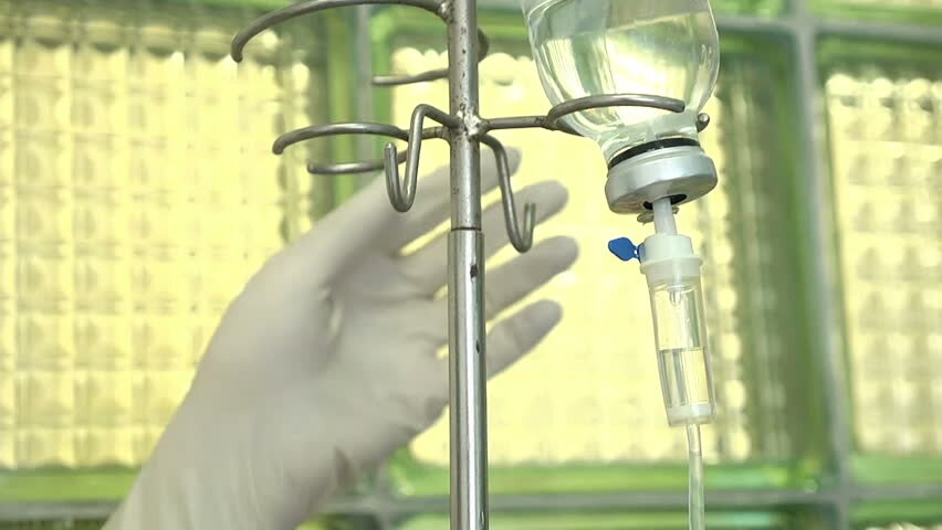 Фото  https://www.shutterstock.com/ru/