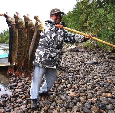 Набрал мальков.