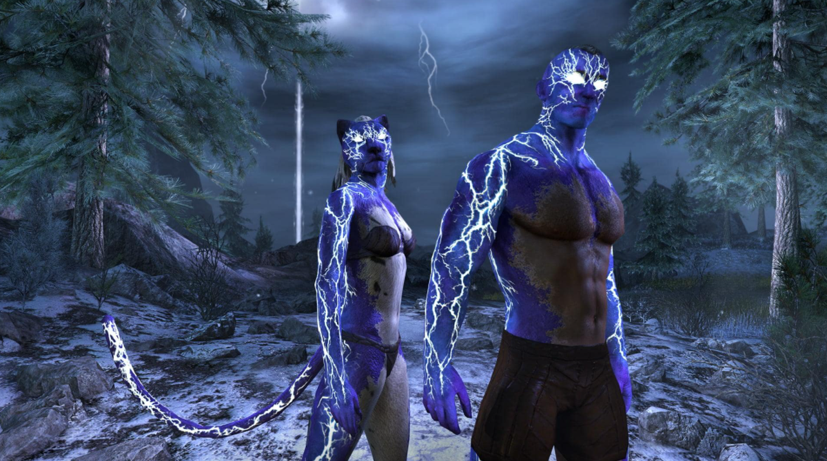 Еще один способ самовыражения в TESO - оболочки для персонажей