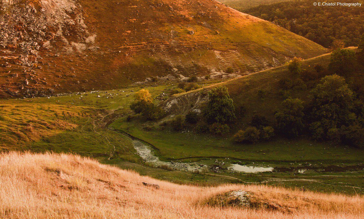 Степи южных регионов