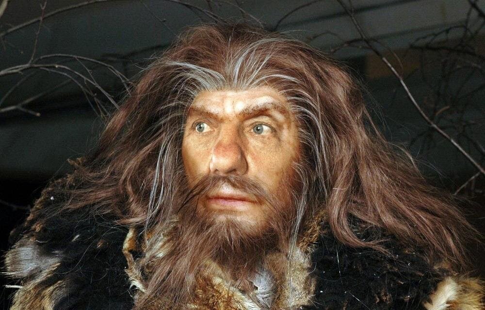 Современная музейная реконструкция внешности неандертальца.