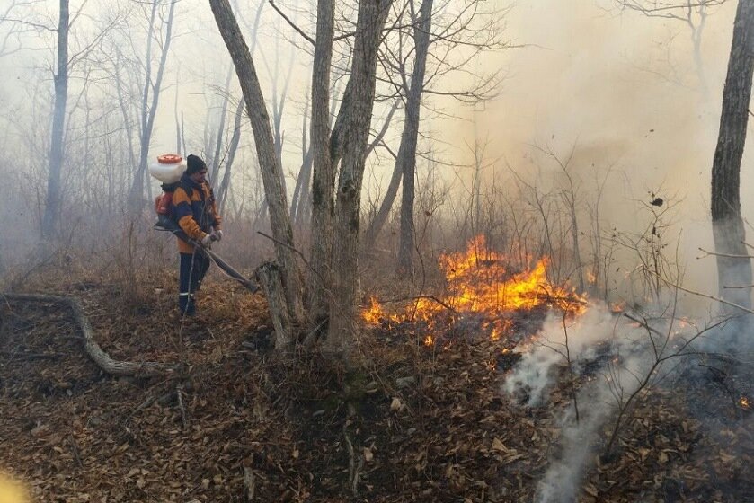 Фото: учреждение по делам ГО и ЧС Приморского края, Заняться профилактикой лесных пожаров в ДФО пора вплотную