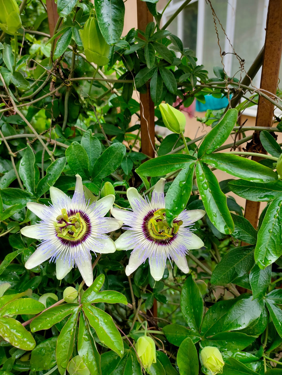 Фото взято из открытых источников 