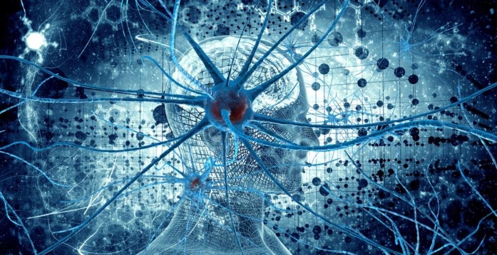 Источник: https://future2day.ru/