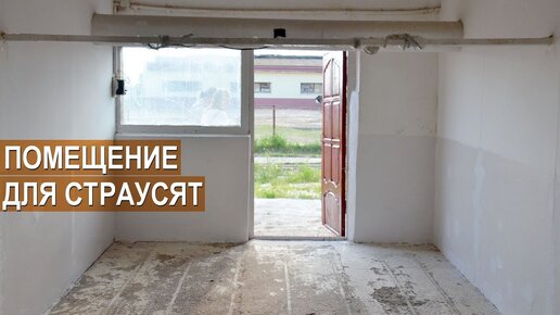 ПОМЕЩЕНИЯ С ВЫГУЛАМИ ДЛЯ МОЛОДНЯКА СТРАУСА. Ферма Русский страус