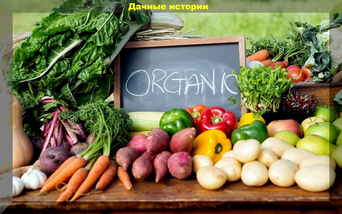 https://vk.com/photo-159774511_457249651