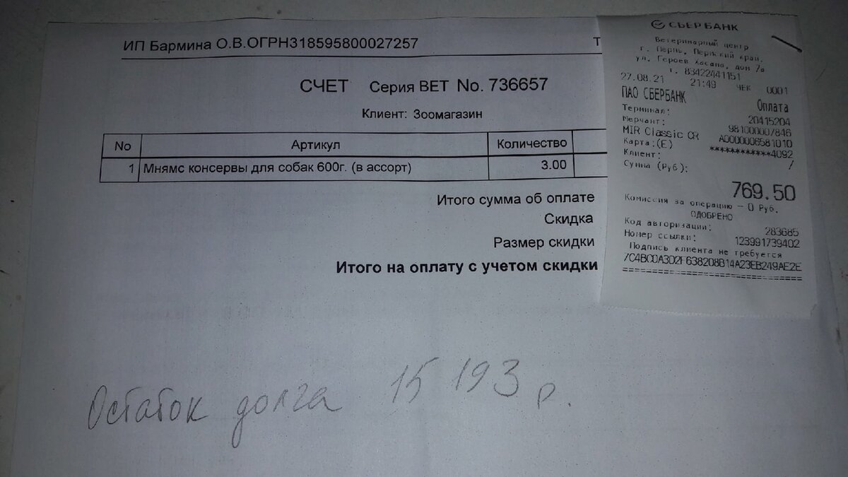 Наконец то Руся вернулась из клиники, но с долгами перед вет.врачами. |  ЯЖИВОЙ Дзен - спасенные животные в добрые руки г.Перми и Пермского Края 59  регион | Дзен