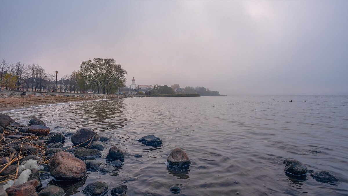 Себеж глазами себежского фотографа Елены Зимацкой и новая легенда о Себеже  | Побочный эффект | Дзен