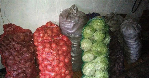 Овощи с загородного участка