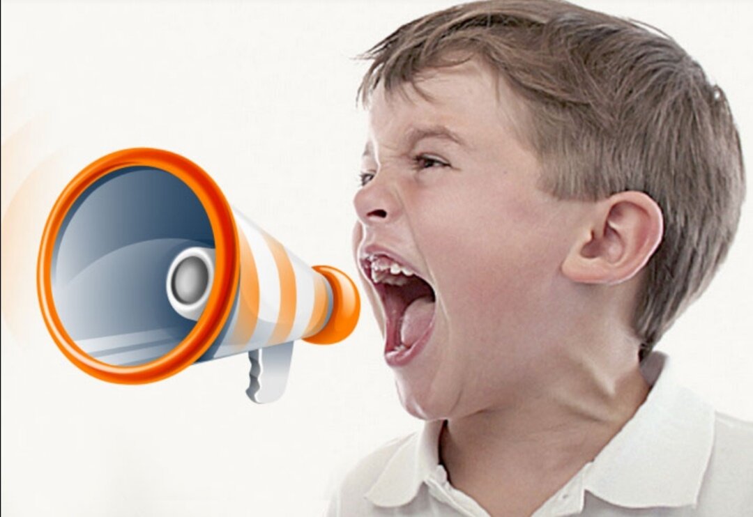 Фото взято из открытых источников