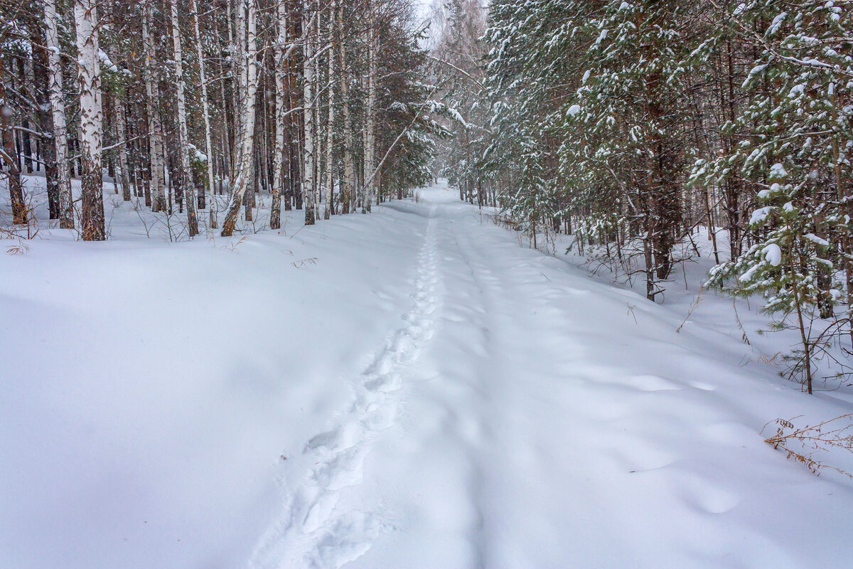 Тропинка на перевал.