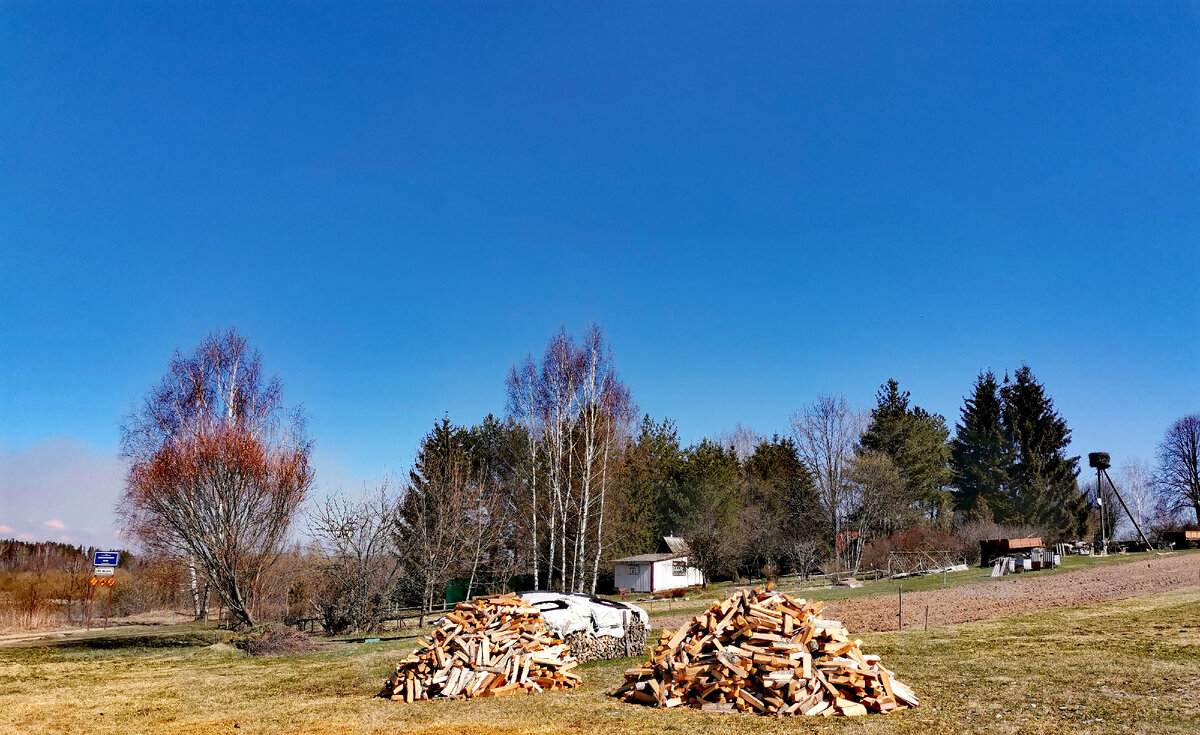 Вдалеке виднеется гнездо аиста😉 
