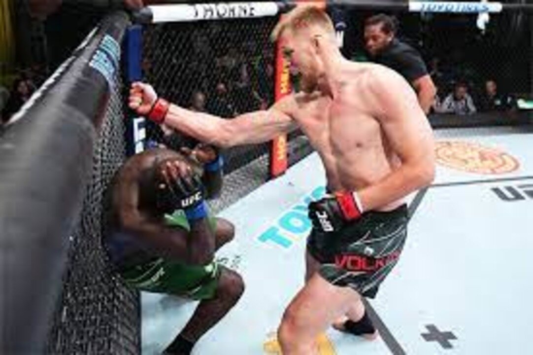 Фото: Chris Unger/Zuffa LLC