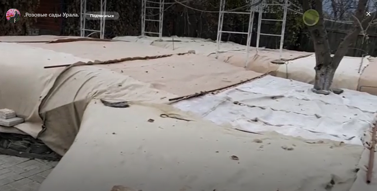 Скриншот снят с ролика блогера "Сады урала"