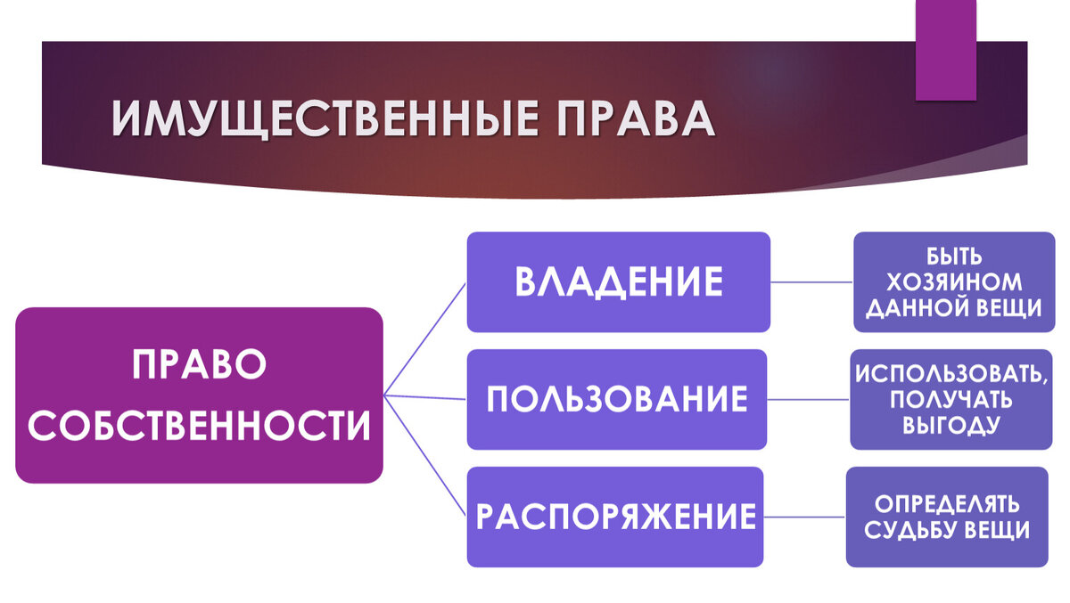 Имущественные и неимущественные права презентация 11 класс