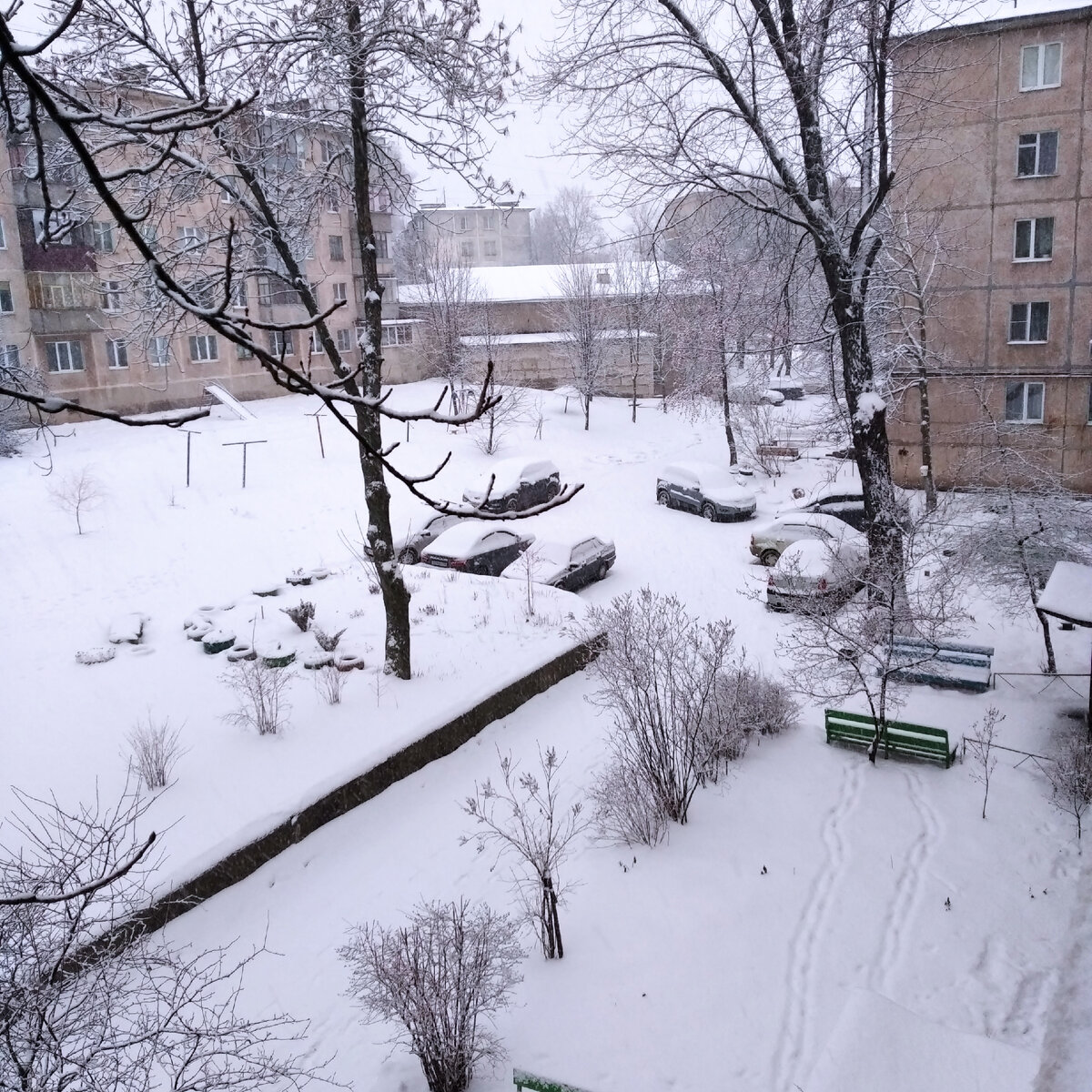 фото автора