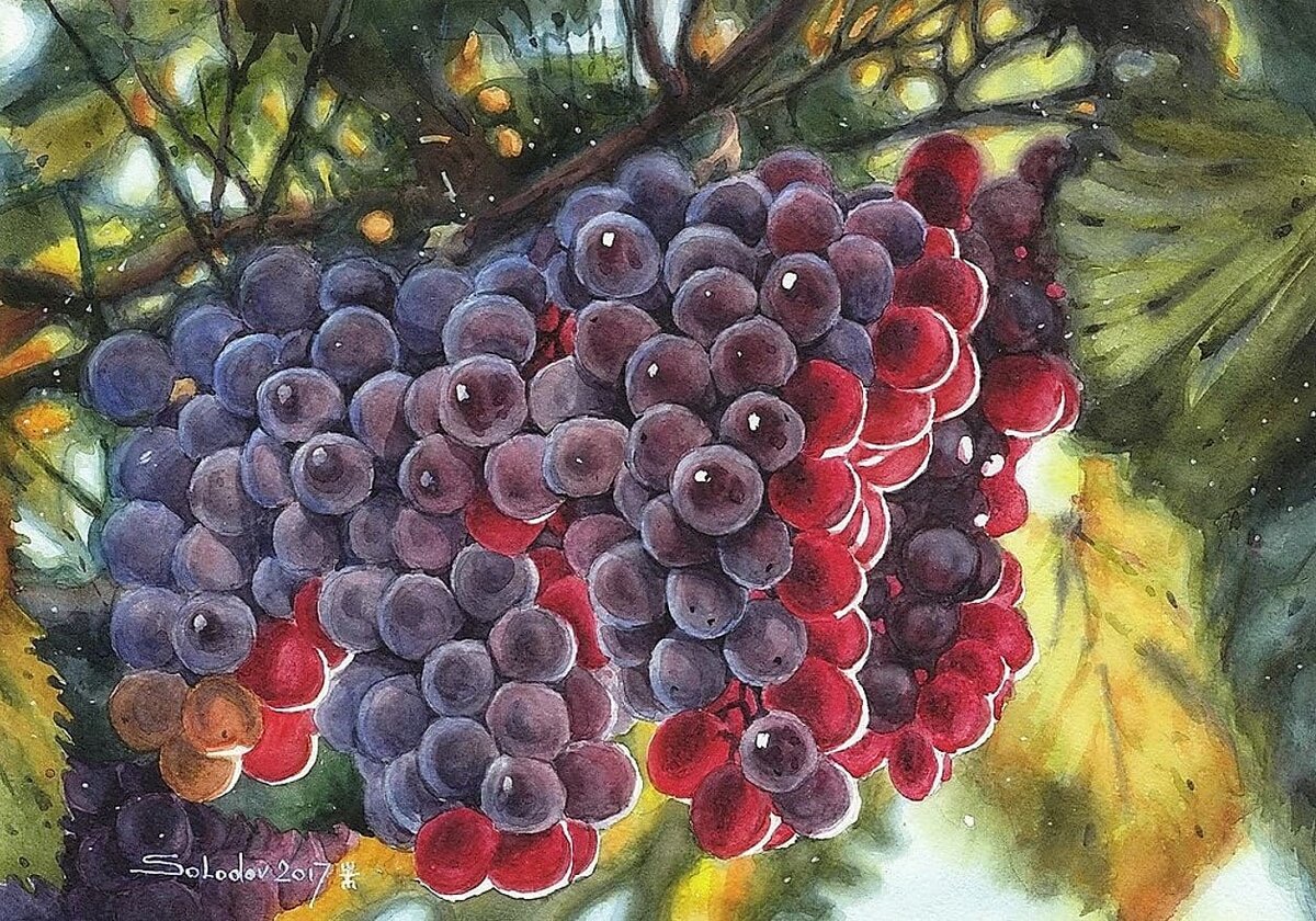  : https://goo.su/eSRz