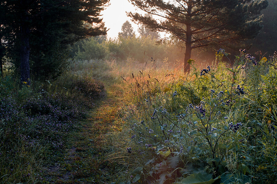 8 37. Mir-1 объектив 780811. Объектив беломо mc 8mm f/3. Мир 1в 2. Мир-1в 2,8/37мм.