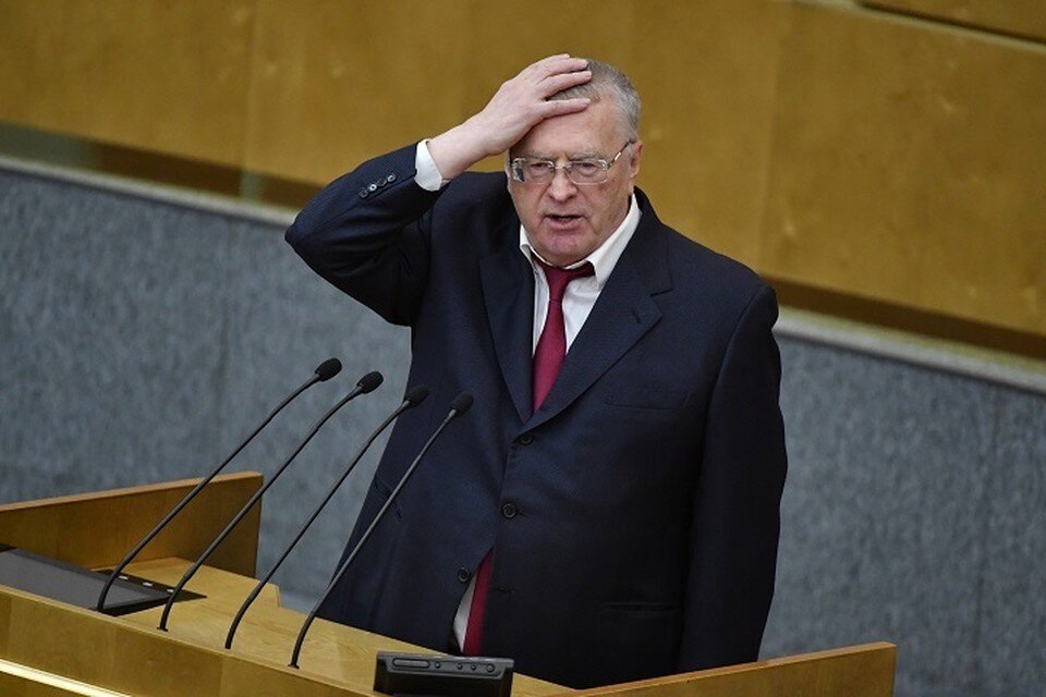     Чек от Жириновского продают через сервис объявлений. Владимир ВЕЛЕНГУРИН