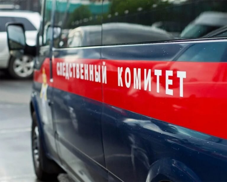    СК завершил дело 43-летнего жителя Бузулука, который до смерти забил знакомого Кристина Просвиркина