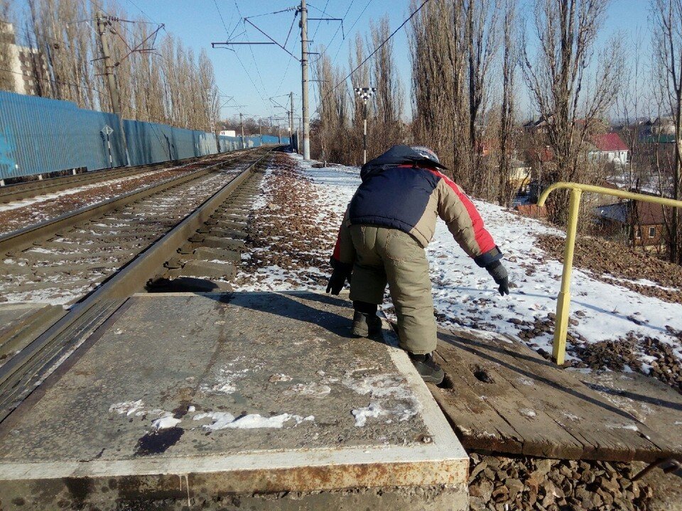     Фото Елены Федяшевой  из архива «КП»