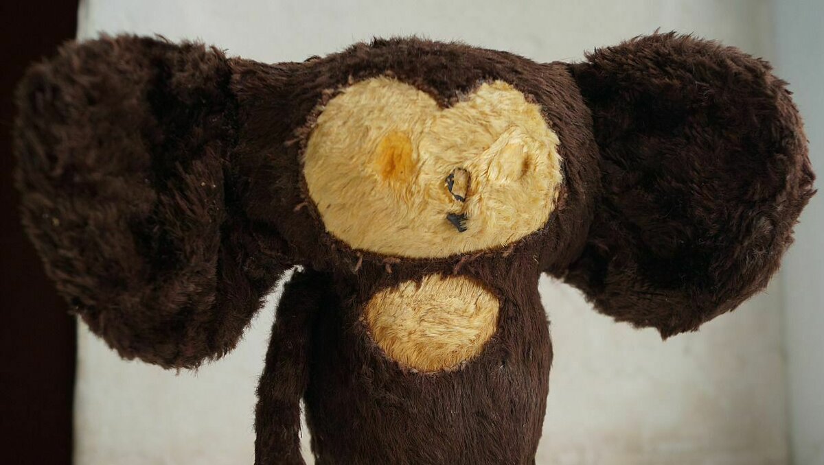     Жители Ростова-на-Дону выставляют на продажу игрушки с советских времен и хотят получить за них большие деньги. Что можно купить для коллекции и сколько это стоит, в материале Rostovgazeta.